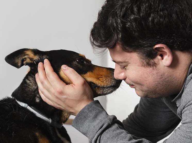 Incineración de mascotas con recogida 24/7, certificado y opciones de urnas y recuerdos España Incineración de mascotas con recogida 24/7, certificado y opciones de urnas y recuerdos España